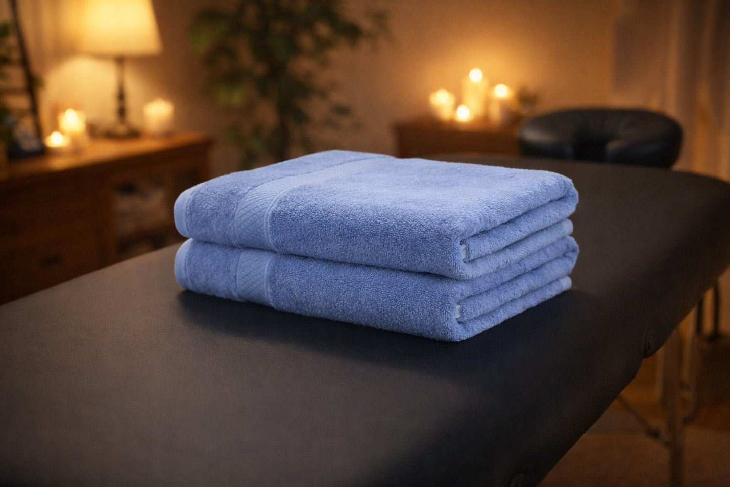 Large Bath Sheet Towels - Blue- Set of Two